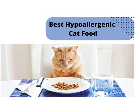 best cat food for sensitive skin|hypoallergenic cat food reviews.